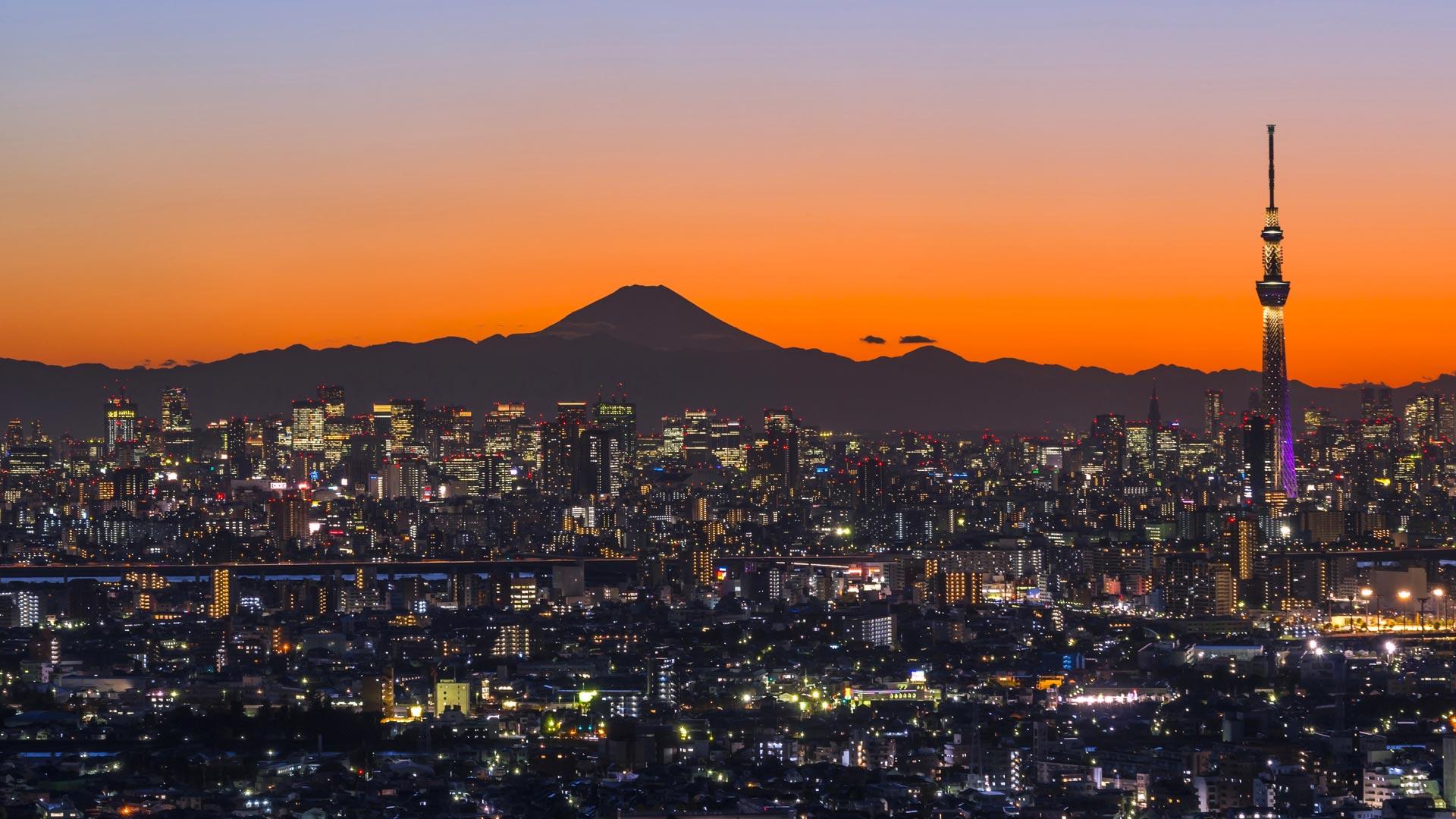 Sky Tree And Fuji