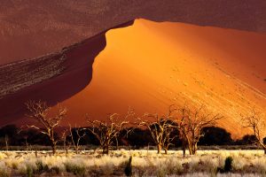 Sossusvlei