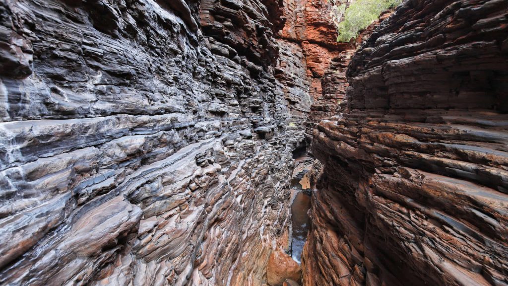 Spider Walk Hancock Gorge