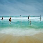 Stilt Fishing