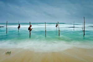 Stilt Fishing