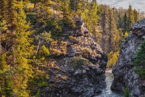 Sunny Cliffs