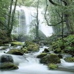 Tasmania Waterfall