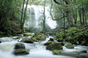 Tasmania Waterfall