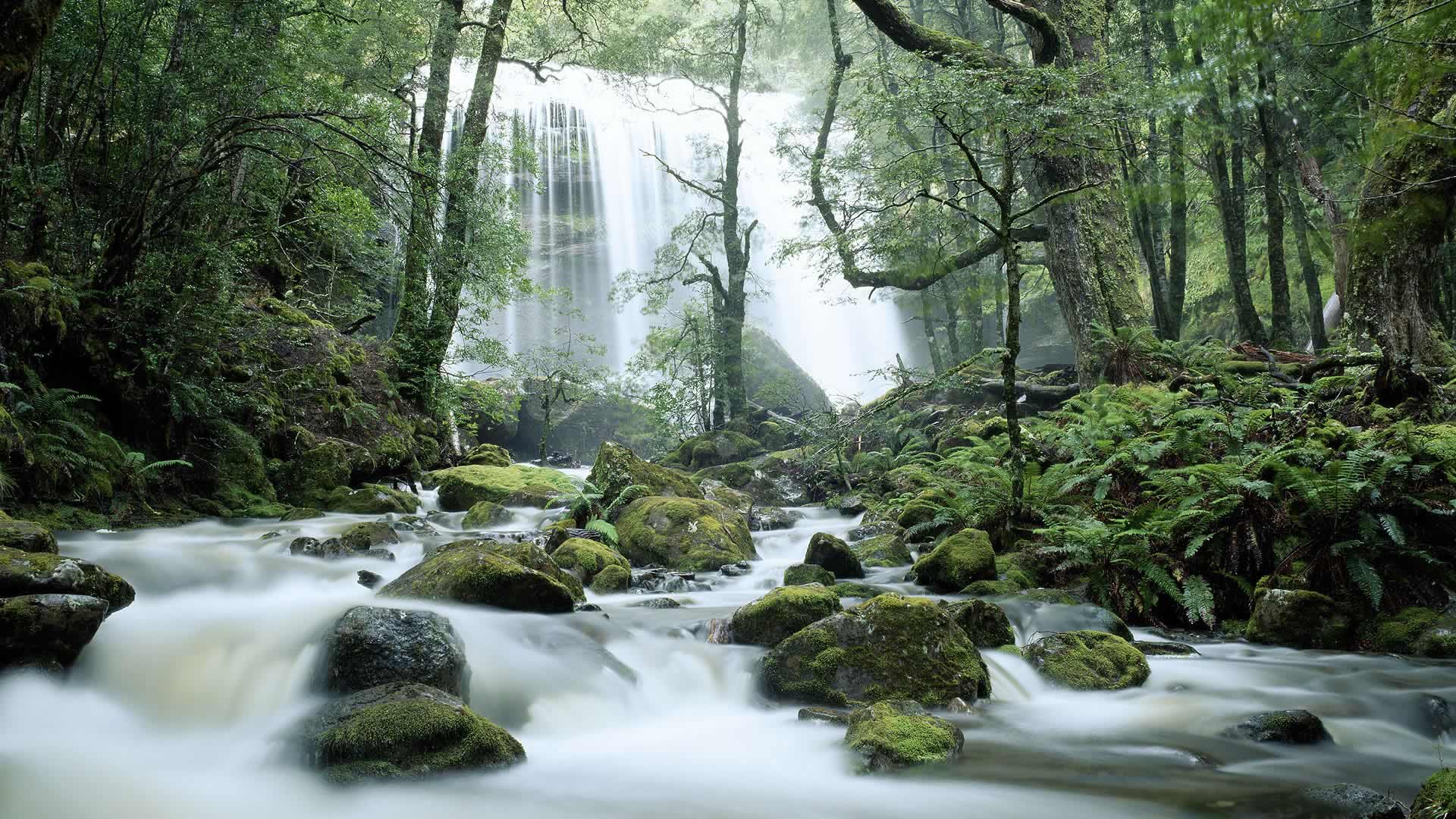 Tasmania Waterfall