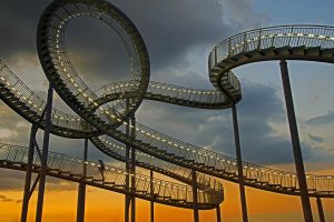 Tiger And Turtle