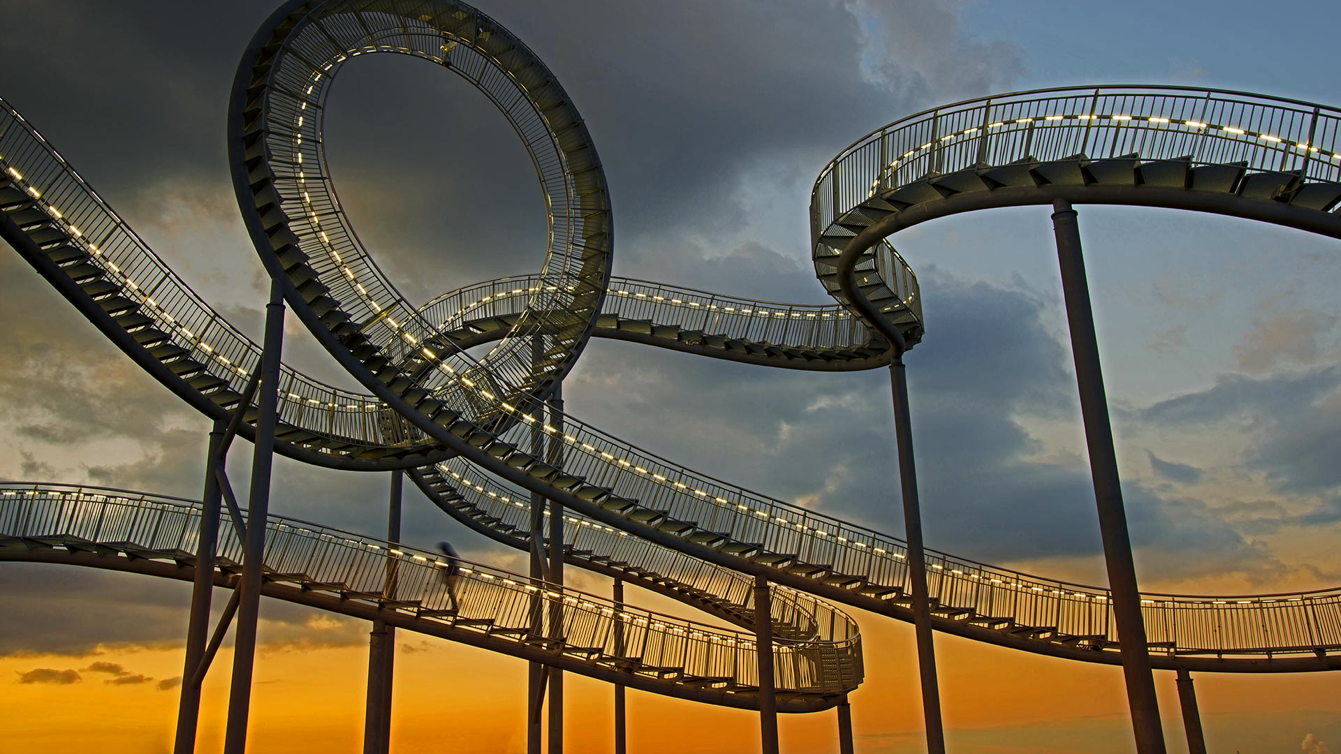 Tiger And Turtle