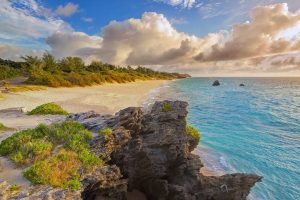 Warwick Long Bay