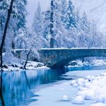 Yosemite Bridge