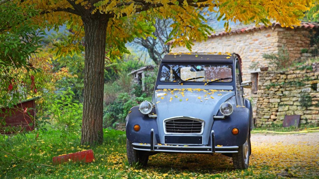 French Car Tree