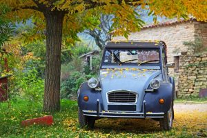 French Car Tree