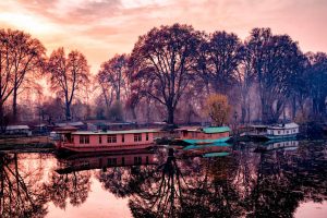 Jhelum Boats