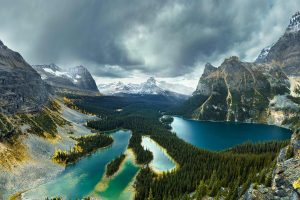 Lake O Hara Yoho