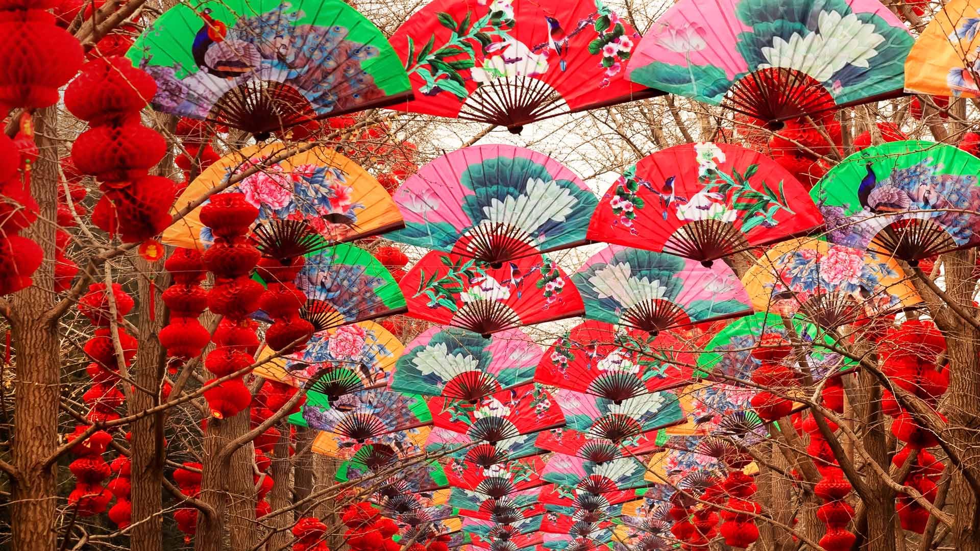 Paper Fans Red Lanterns