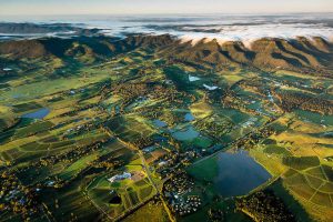 Pokolbin Wine Country