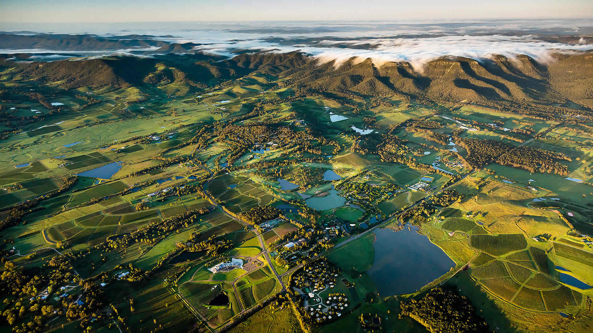 Pokolbin Wine Country