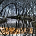 Serra Da Estrela