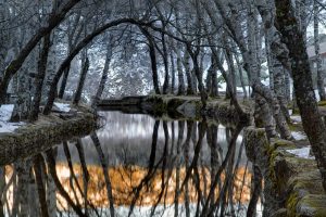 Serra Da Estrela