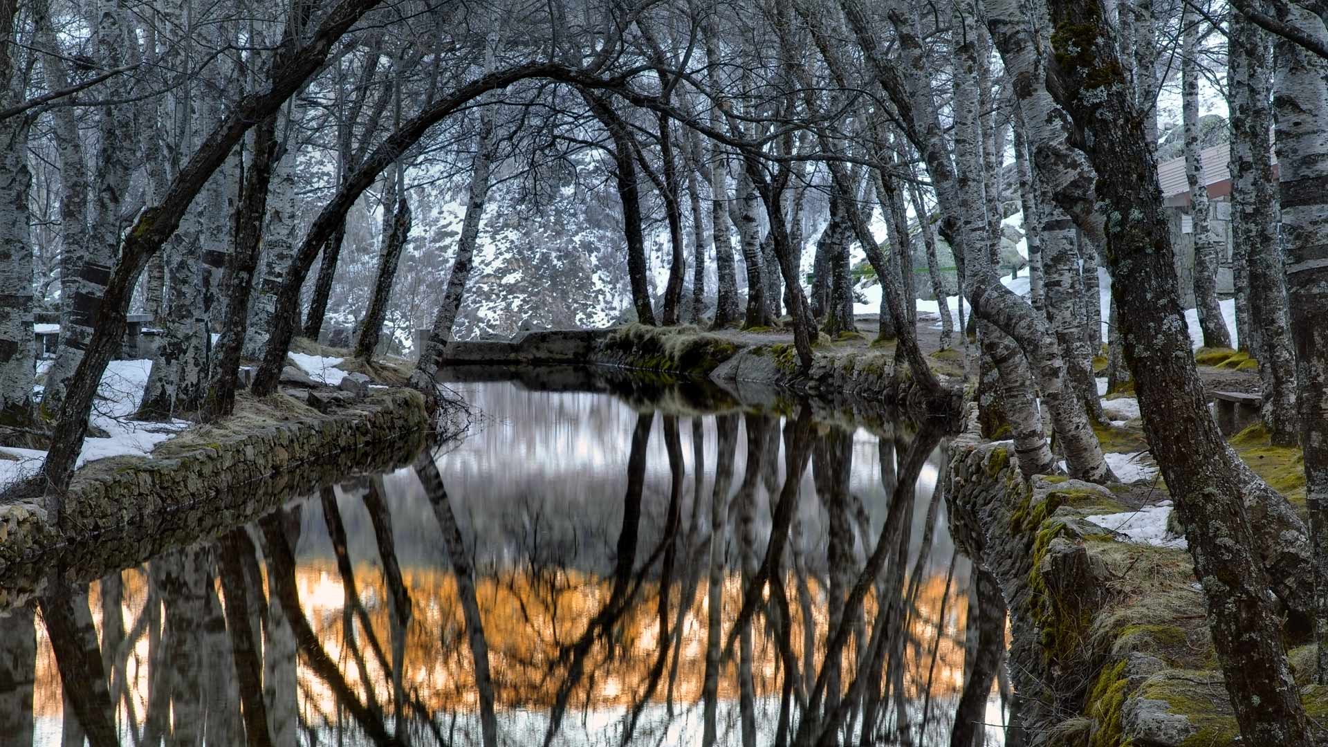 Serra Da Estrela