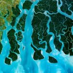 Sunderbans