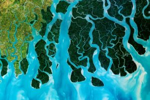 Sunderbans