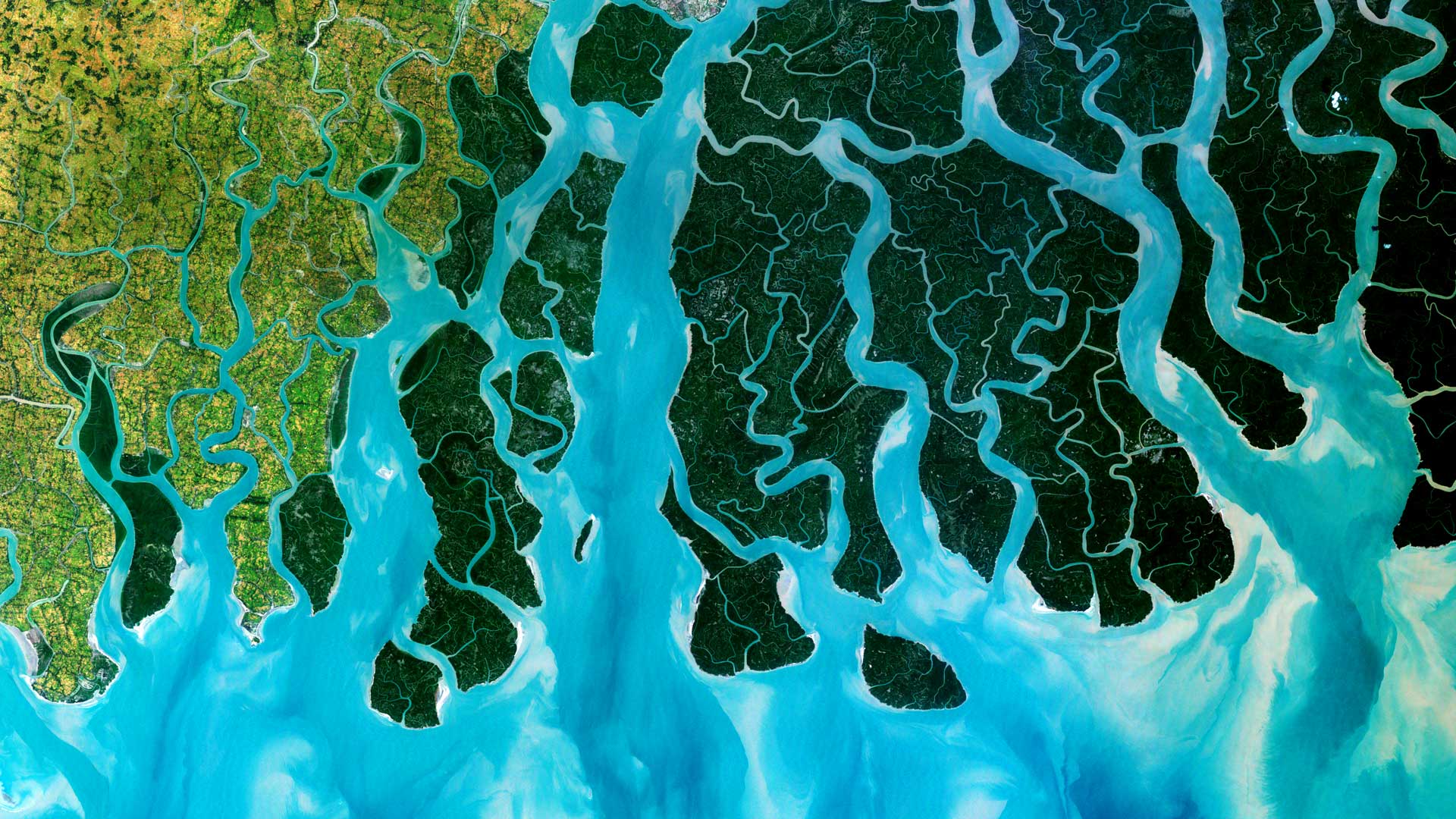 Sunderbans