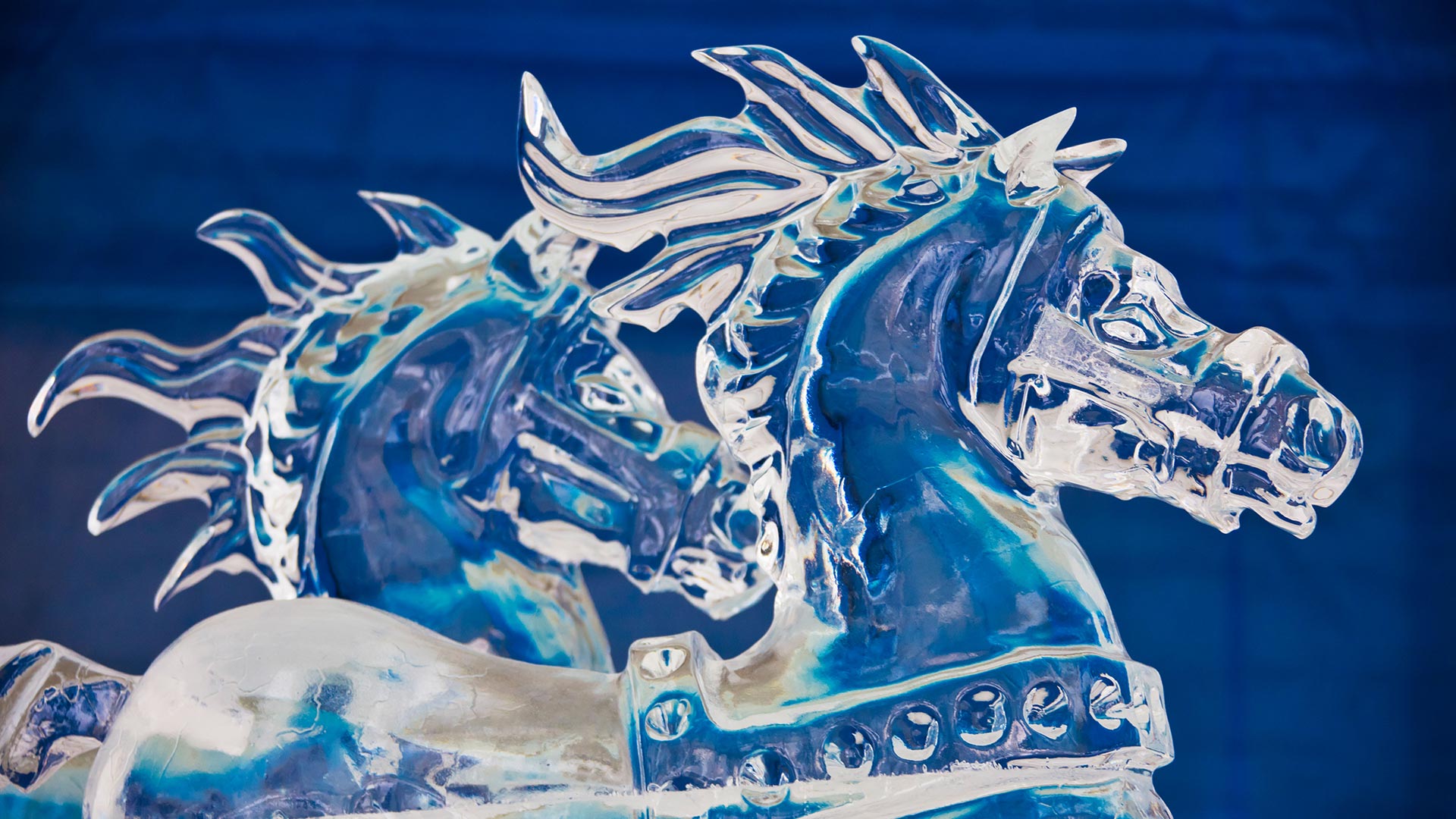 Winterlude Sculptures