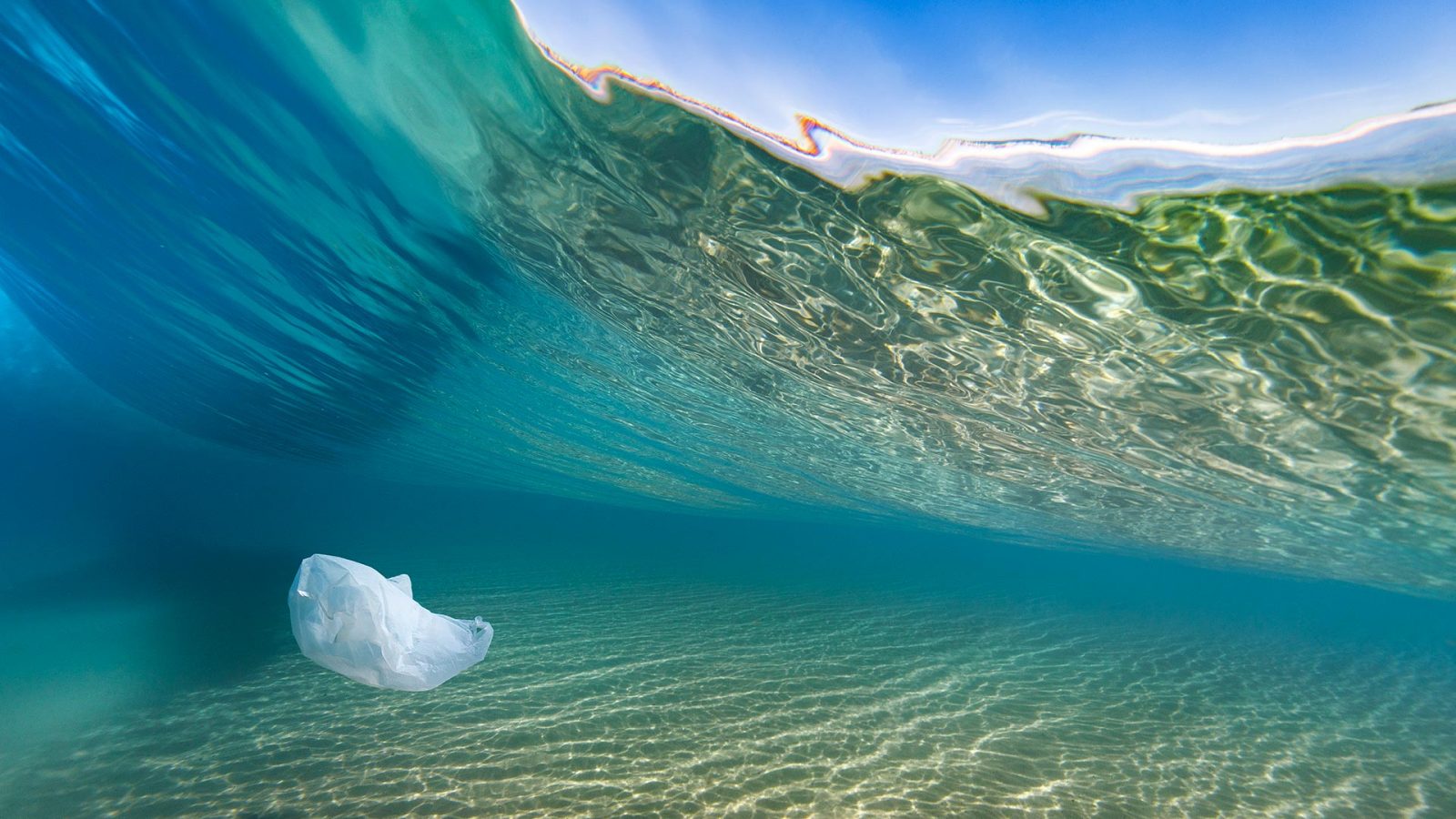 Plastic Bag Beach - Bing Wallpaper Download