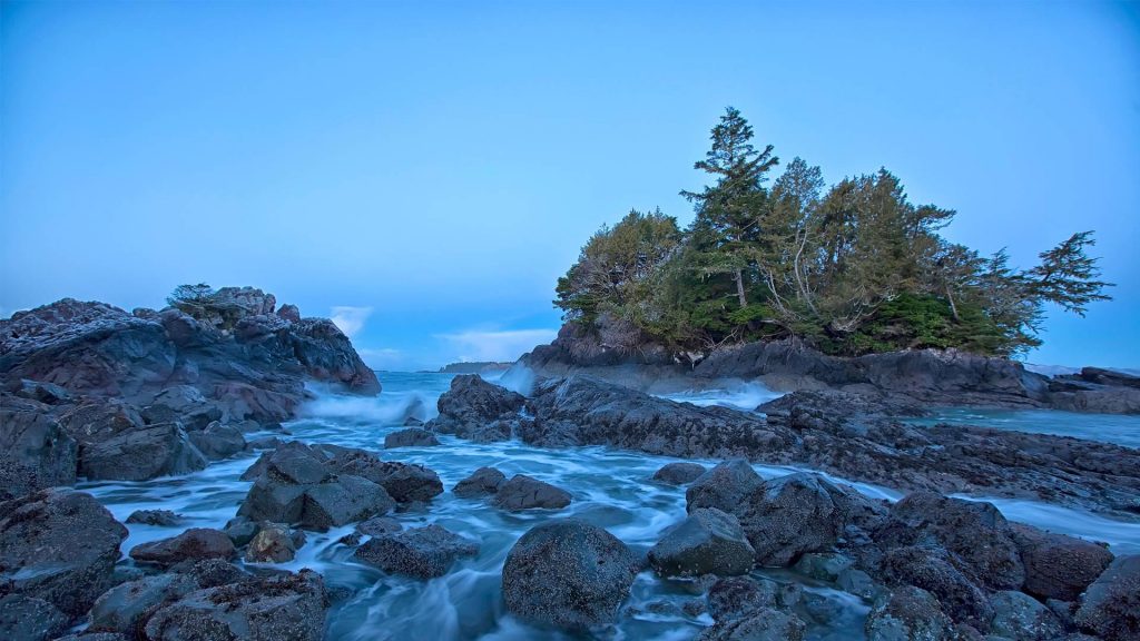 Tofino Coast