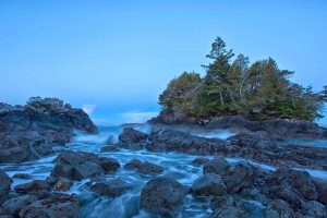 Tofino Coast