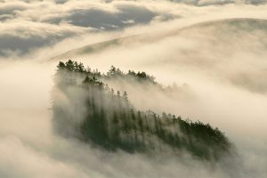 Coastal Fog