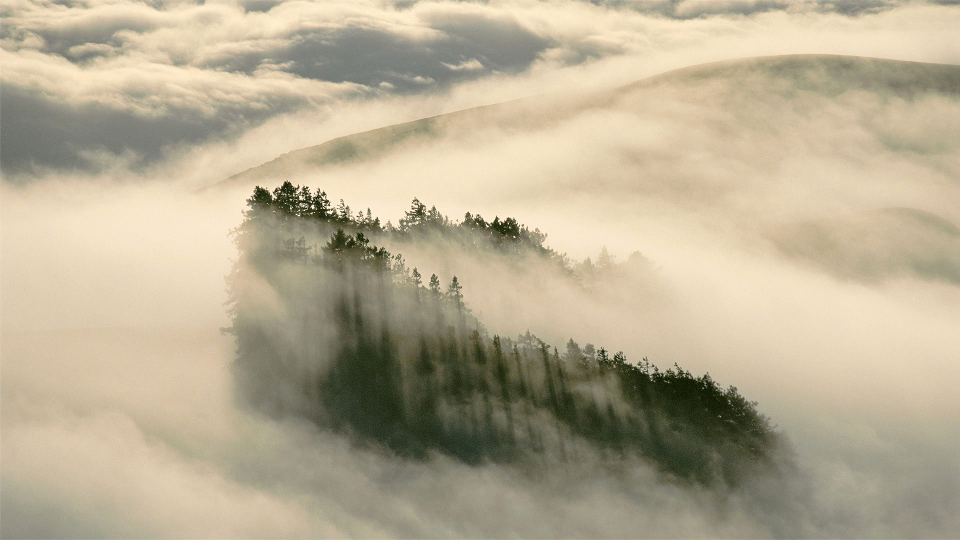 Coastal Fog