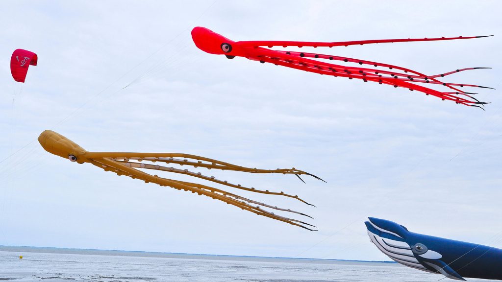 Kite Festival Chatelaillon