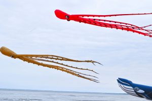 Kite Festival Chatelaillon