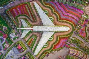 Miracle Garden