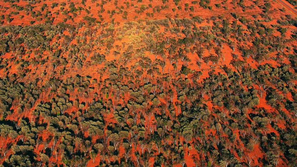 Outback Aerial