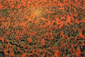 Outback Aerial