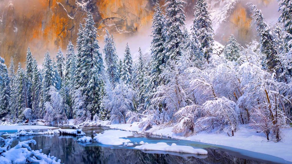 Snow Yosemite
