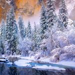 Snow Yosemite