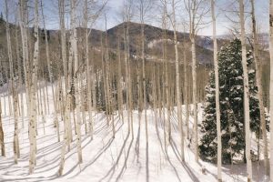 Wasatch Mountains