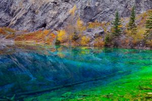 Algae Lake