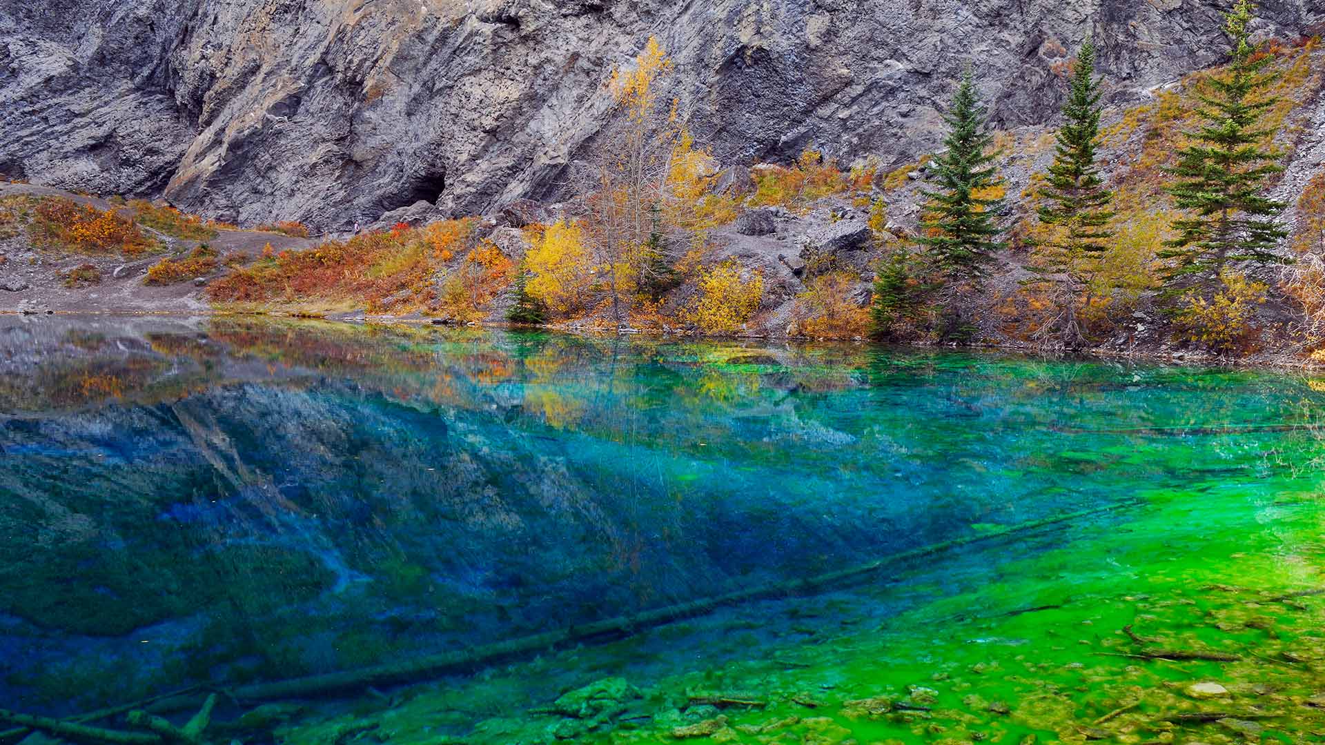 Algae Lake