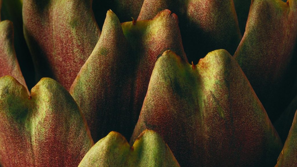 Artichoke Detail