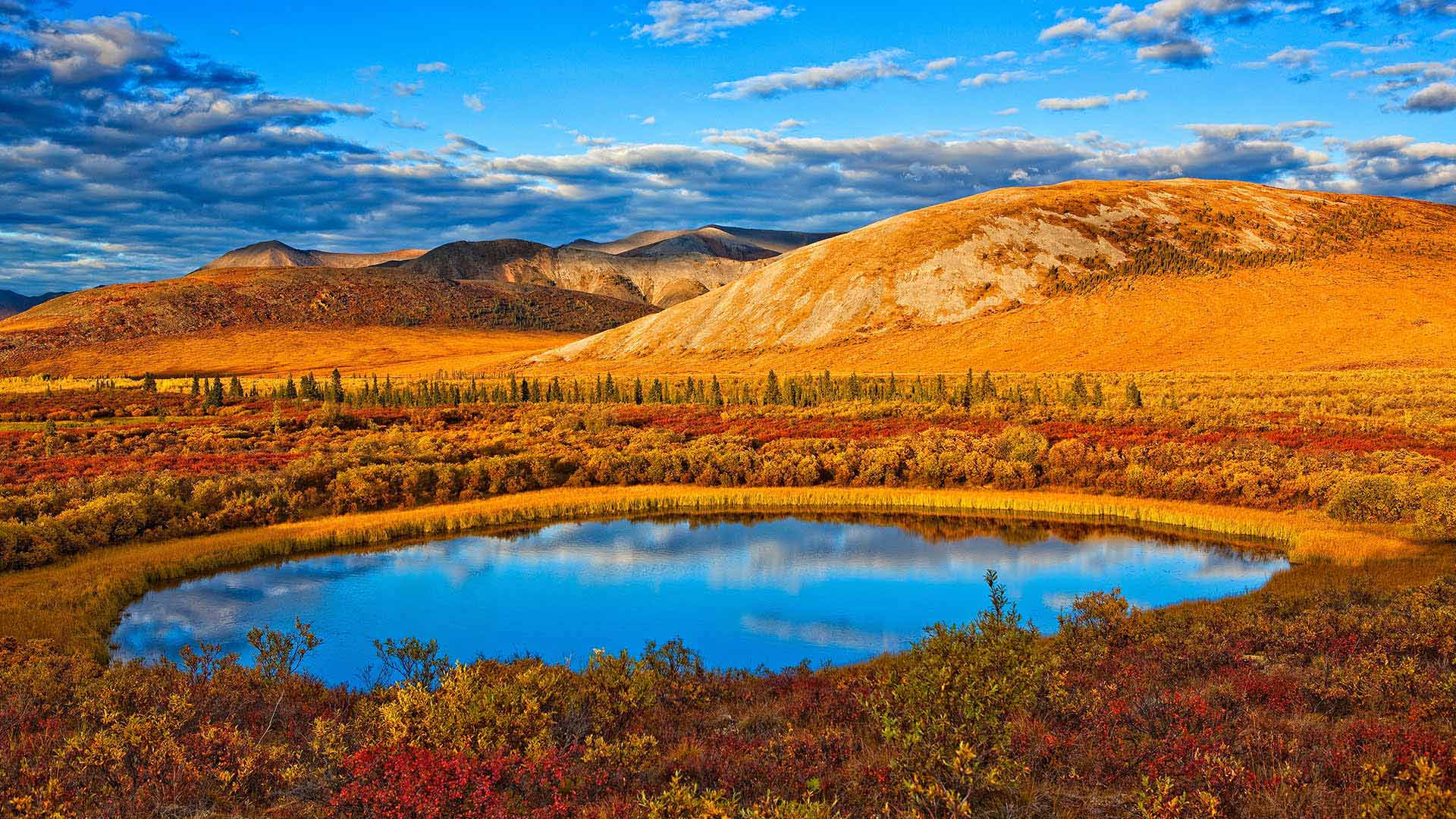 Autumn Yukon Bing Wallpaper Download