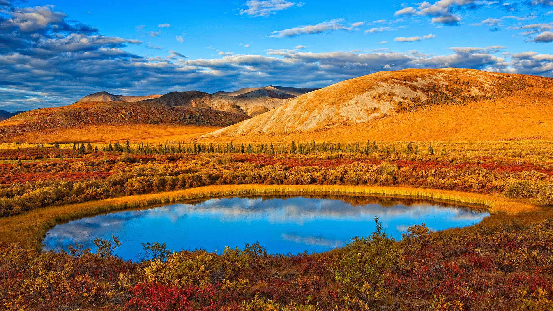 Autumn Yukon