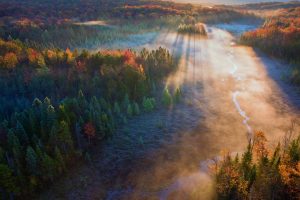 Beaver Meadow