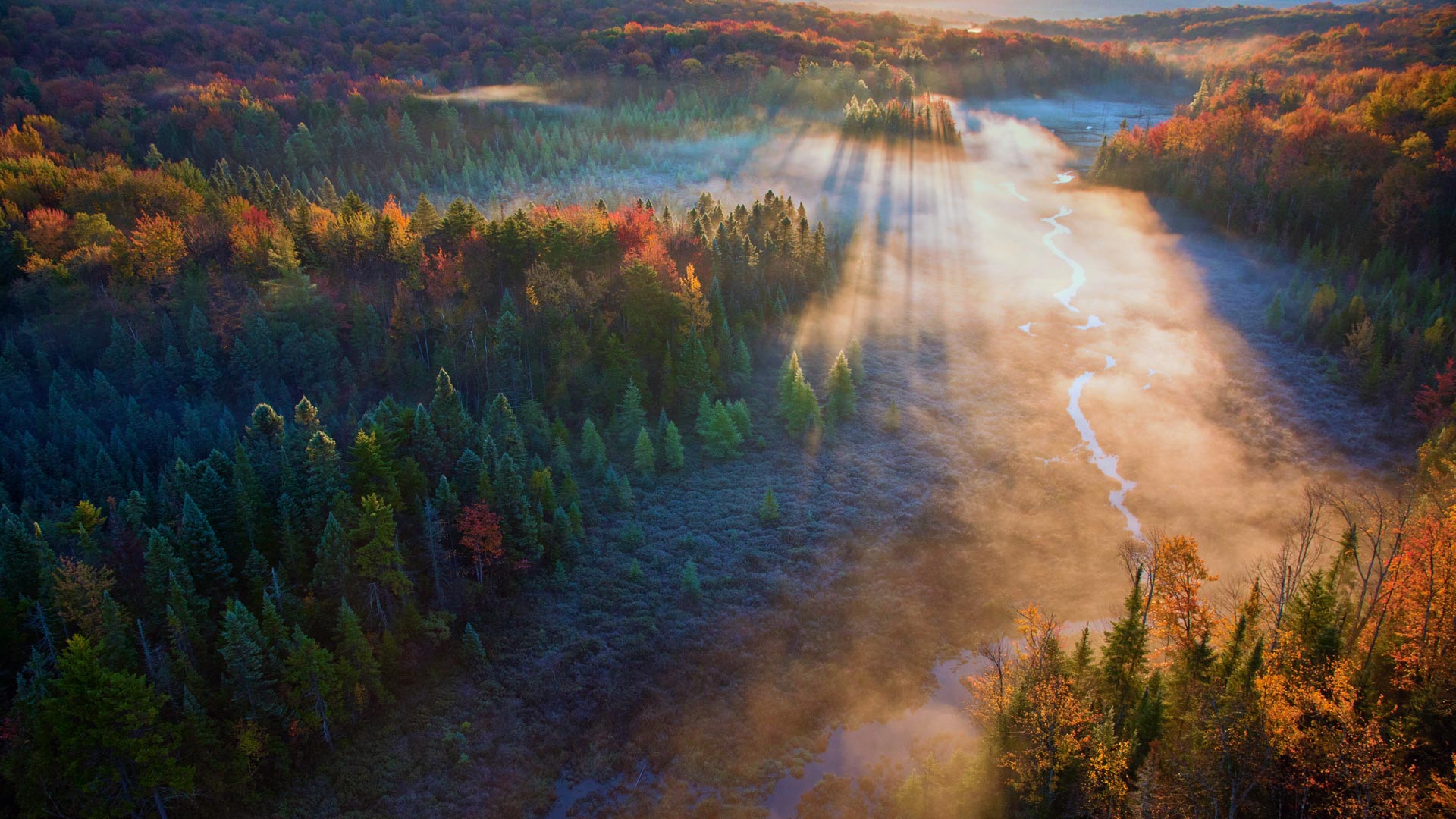 Beaver Meadow