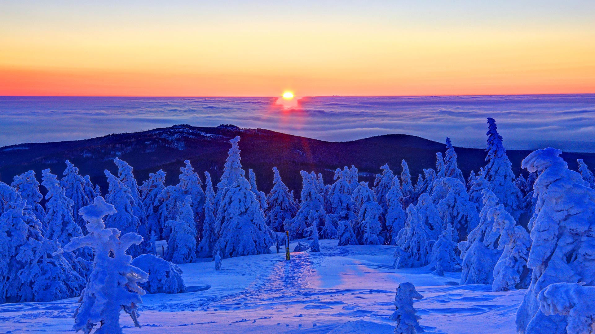 Brocken Winter