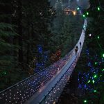 Capilano Xmas Lights