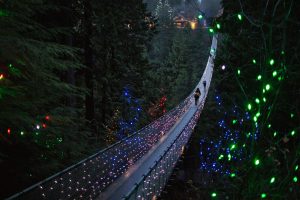 Capilano Xmas Lights